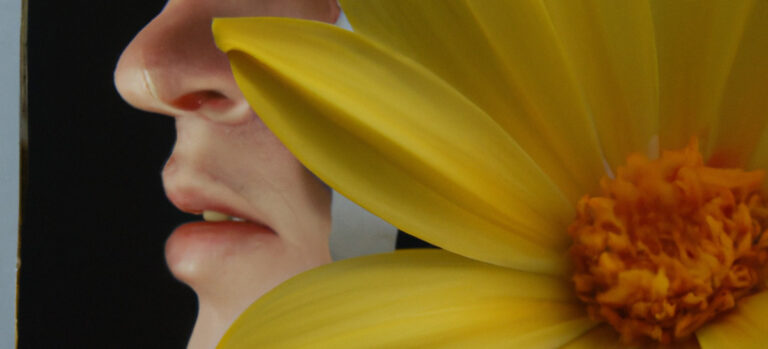 Jogo de improviso: Eu começo – tu termina | O homem que matava flores