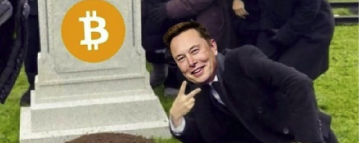 Elon Musk explica que “Tesla não vendeu seus Bitcoins”