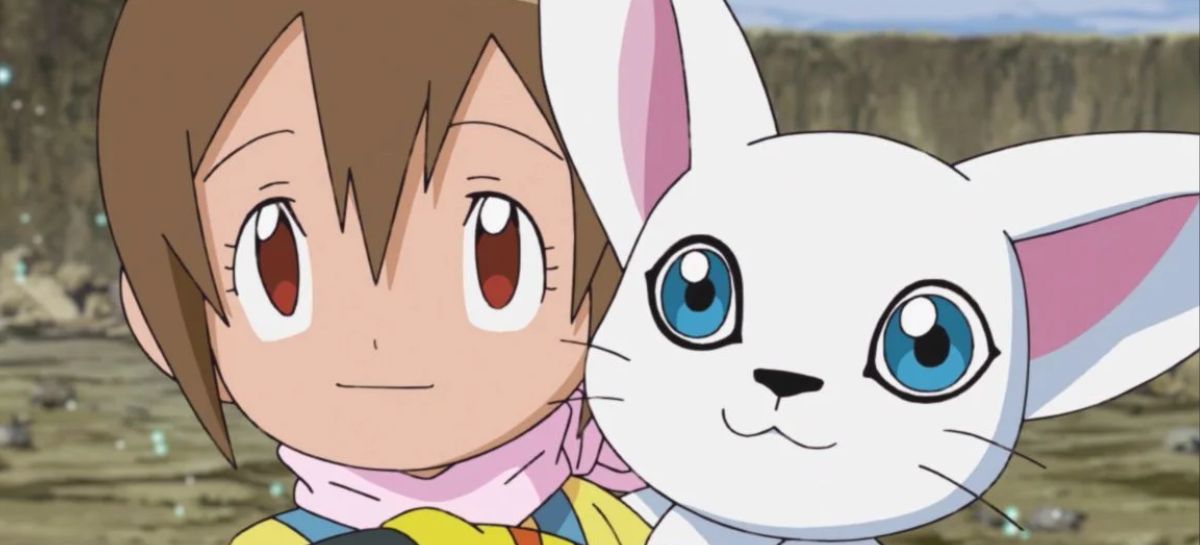 TODA LINHA DIGIEVOLUTIVA DA TAILMON. #digimon #pokemon #anime #animeti