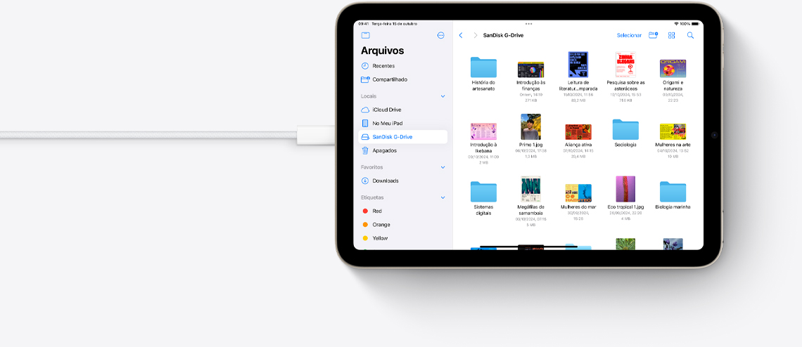 iPad mini conectado por USB-C mostrando o aplicativo Arquivos